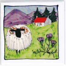 facing sheep and house card
