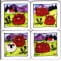 Set of four Highland cows coasters