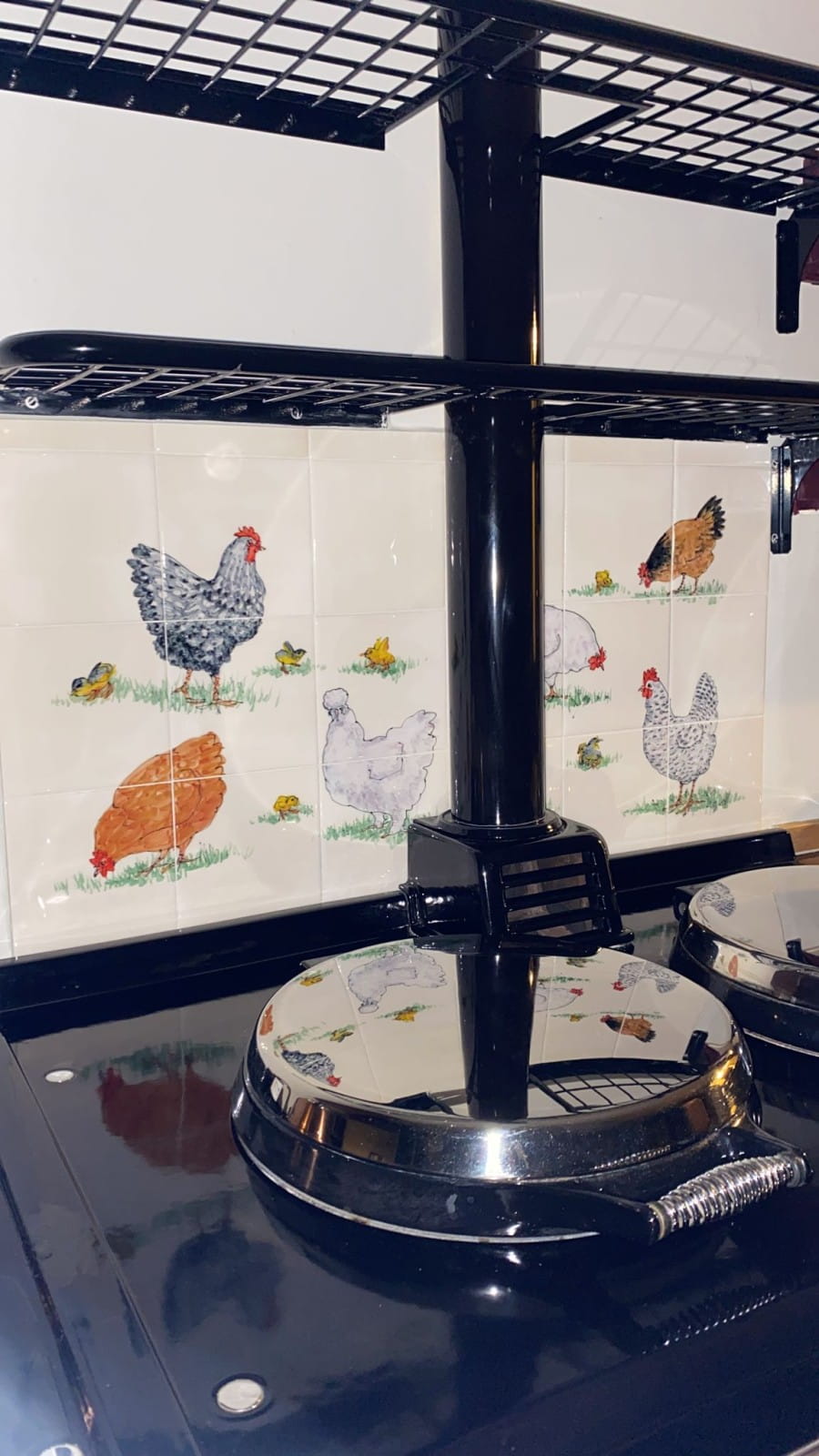 hens in sunlight