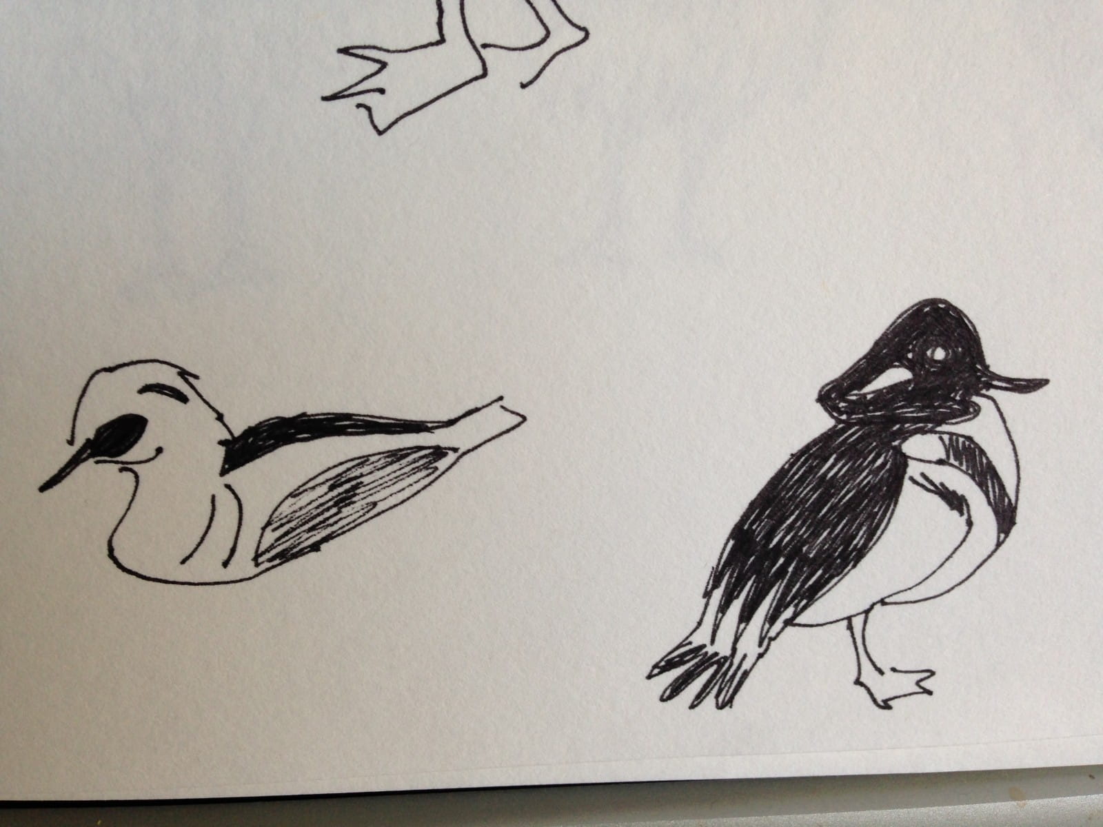 Managed a spot of sketching recently - a rare indulgence!