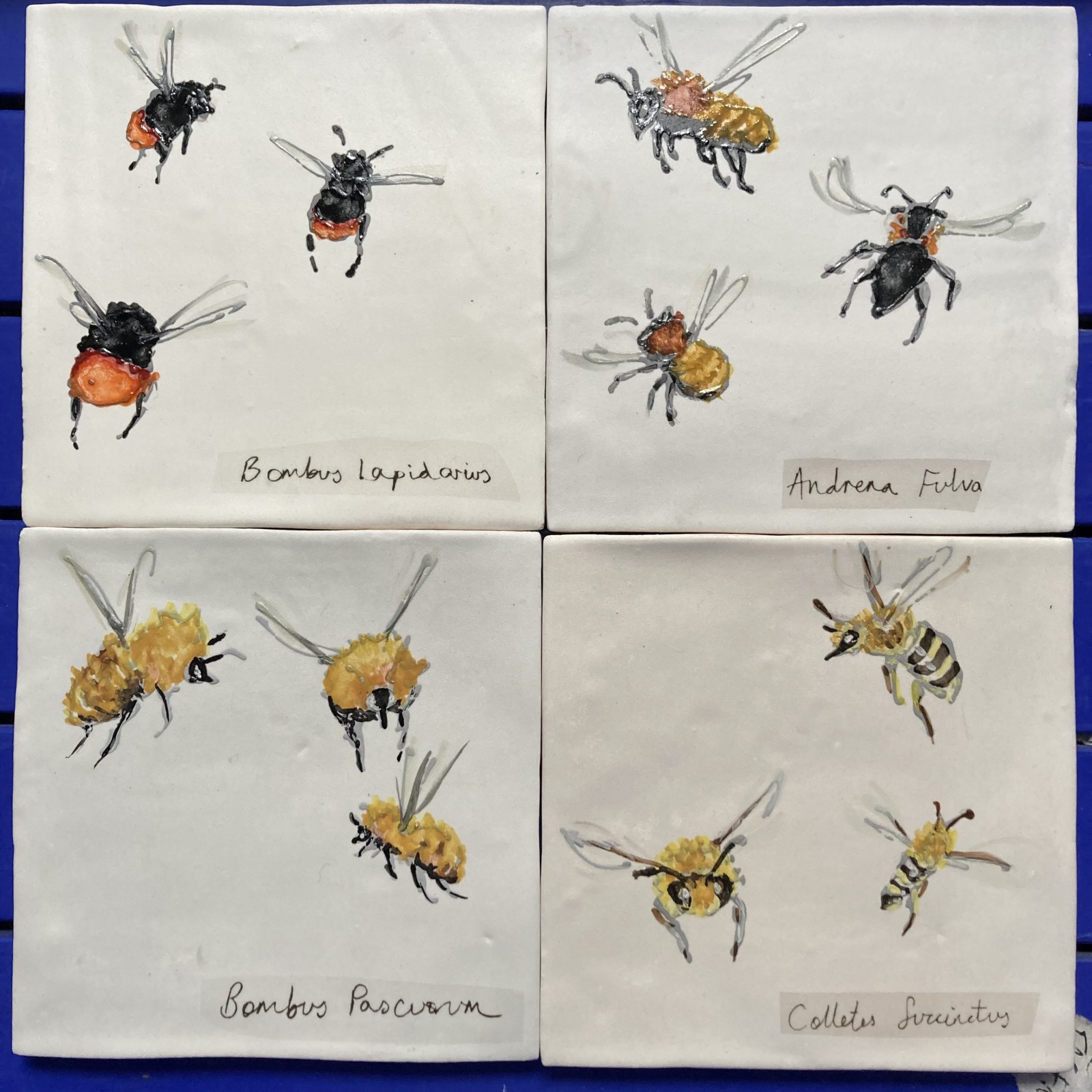 Part of a set of bee species tiles, now in residence in the Netherlands