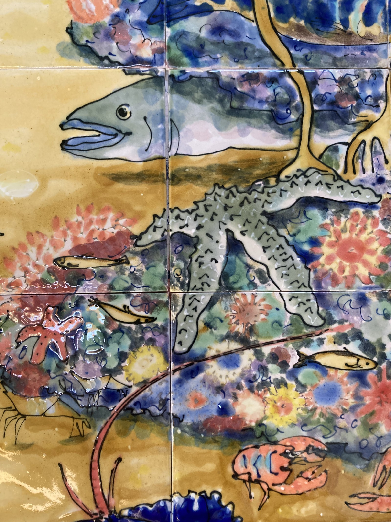 detail of spiny starfish and conger eel