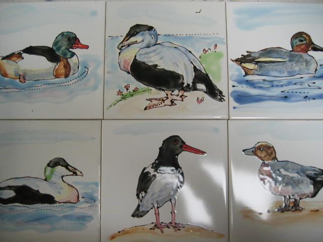 coast birds requested a few years ago