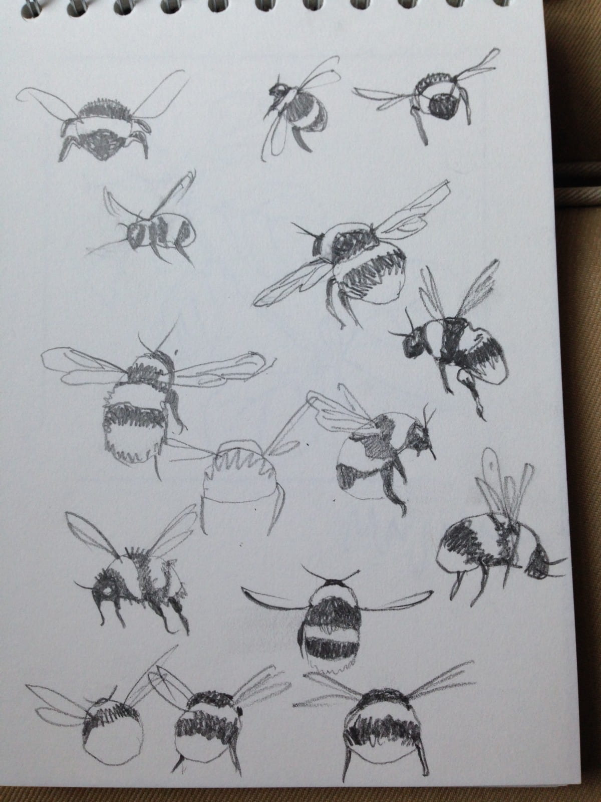 sketches