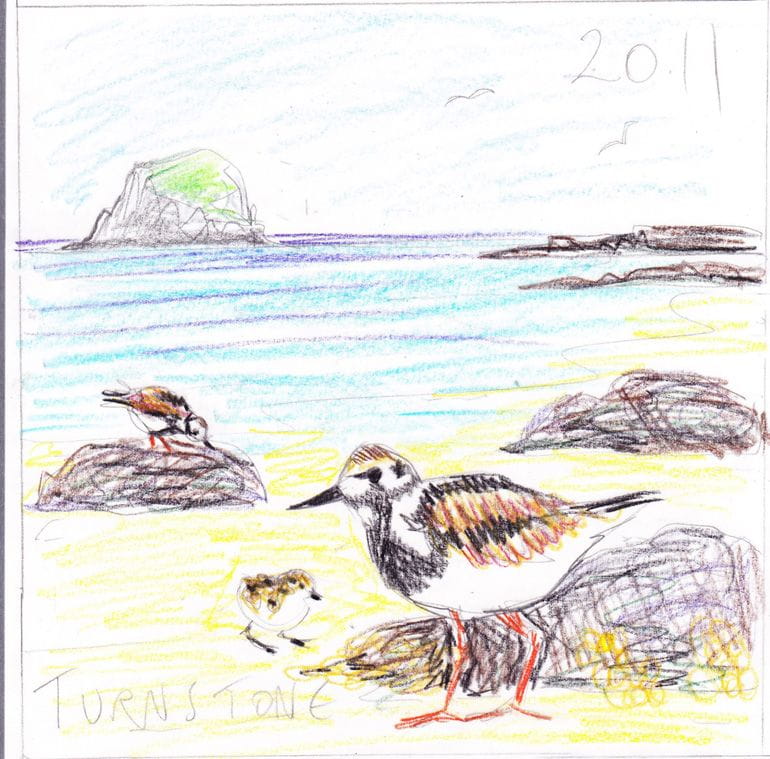 working sketch as shown to client........