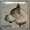 an unusual, but lovely commission to commemorate dogs from a shelter<br/><a href="gallery/gallery/191/add/#comments">Add comment</a>