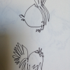Managed a spot of sketching recently - a rare indulgence!<br/><a href="gallery/gallery/123/add/#comments">Add comment</a>