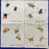 Part of a set of bee species tiles, now in residence in the Netherlands<br/><a href="gallery/gallery/305/add/#comments">Add comment</a>