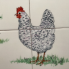 detail hens<br/><a href="gallery/gallery/236/add/#comments">Add comment</a>