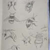 preparation/research sketches of the bee species<br/><a href="gallery/gallery/307/add/#comments">Add comment</a>