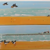 panoramas made to order<br/><a href="gallery/gallery/229/add/#comments">Add comment</a>