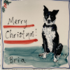ditto!<br/><a href="gallery/gallery/263/add/#comments">Add comment</a>