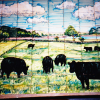 This was the view out of the client's window where they had a herd of Aberdeen Angus cows.<br/><a href="gallery/gallery/56/add/#comments">Add comment</a>