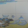 colour building up...<br/><a href="gallery/gallery/105/add/#comments">Add comment</a>