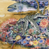 detail of spiny starfish and conger eel<br/><a href="gallery/gallery/310/add/#comments">Add comment</a>
