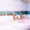 The original 'panorama' tiles, commissioned by the sister of a good friend, who loves Orkney. These went all around the bathroom with Orkney scenes.<br/><a href="gallery/gallery/54/add/#comments">Add comment</a>