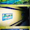 Tiles made for a close in Glasgow, - the reason I wanted to make tiles in the first place, was the legacy of Victorian tiles in closes and shops.<br/><a href="gallery/gallery/36/add/#comments">Add comment</a>