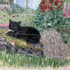 from a recent kitchen project, garden with pets<br/><a href="gallery/gallery/241/add/#comments">Add comment</a>