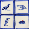 Details of Australian creatures<br/><a href="gallery/gallery/270/add/#comments">Add comment</a>