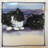 ...not forgetting cats<br/><a href="gallery/gallery/196/add/#comments">Add comment</a>