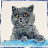 A real character!<br/><a href="gallery/gallery/271/add/#comments">Add comment</a>