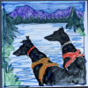 I liked how this one worked with the silhouette<br/><a href="gallery/gallery/264/add/#comments">Add comment</a>