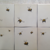 bee variations - printed.<br/><a href="gallery/gallery/182/add/#comments">Add comment</a>