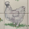 detail hens<br/><a href="gallery/gallery/237/add/#comments">Add comment</a>