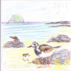 working sketch as shown to client........<br/><a href="gallery/gallery/23/add/#comments">Add comment</a>
