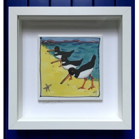 Triple Oystercatchers on a beach