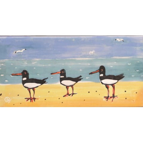 Panorama Print Oystercatchers