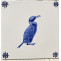 examples of bespoke coast birds/marine life