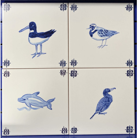 examples of bespoke coast birds/marine life
