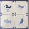 examples of bespoke coast birds/marine life