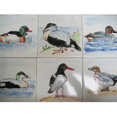 examples of bespoke coast birds/marine life