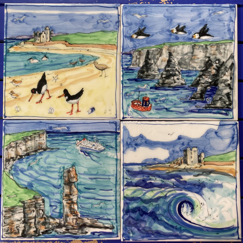examples of bespoke coast birds/marine life