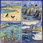 examples of bespoke coast birds/marine life