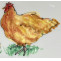 examples of bespoke hens