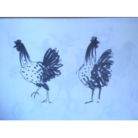 examples of bespoke hens