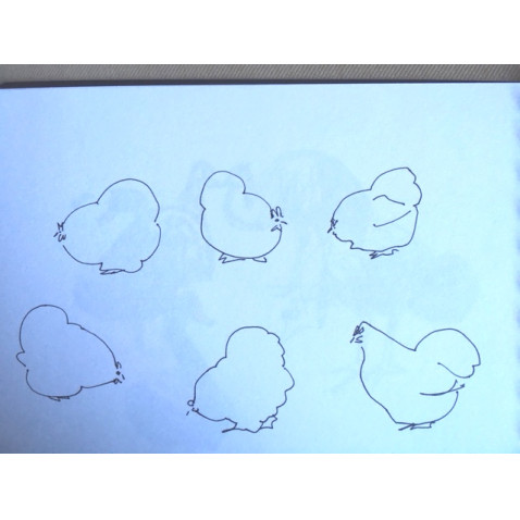 examples of bespoke hens