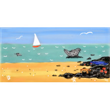 Panorama Seal on the left and rock pools tile