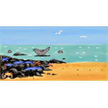 Panorama Seal on the right and Rockpools