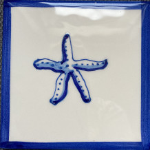 Delft style Starfish