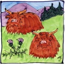 Highland cows square hand-painted tile