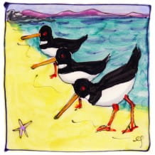 Coast birds range